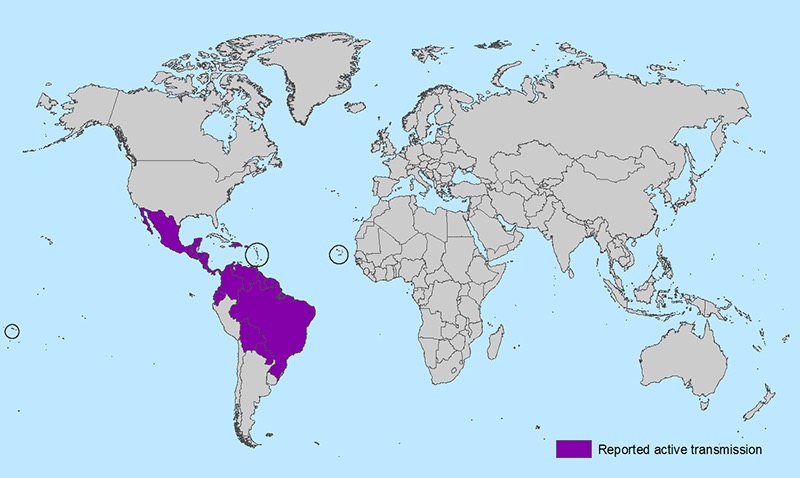 zika-active-transmission